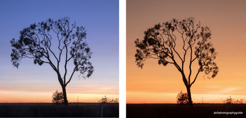 不同色温拍摄出不同效果 不同色温拍摄出不同效果