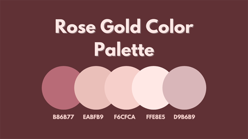 Rose Gold调色板 Rose Gold调色板